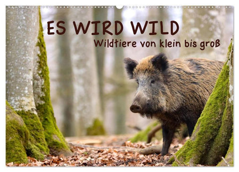 ES WIRD WILD Wildtiere von klein bis groß (Wandkalender 2026 DIN A2 quer), CALVENDO Monatskalender