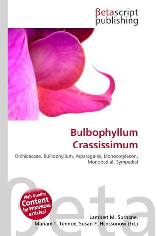 Bulbophyllum Crassissimum