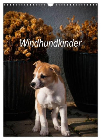 Windhundkinder (Wandkalender 2026 DIN A3 hoch), CALVENDO Monatskalender