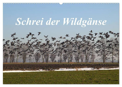 Schrei der Wildgänse (Wandkalender 2026 DIN A2 quer), CALVENDO Monatskalender