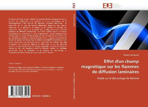 Effet d'un champ magnétique sur les flammes de diffusion laminaires