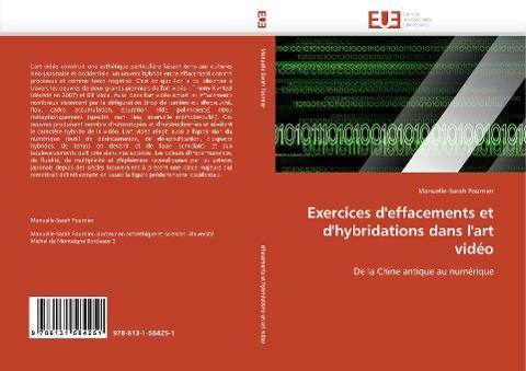 Exercices d'effacements et d'hybridations dans l'art vidéo