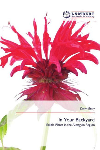 In Your Backyard