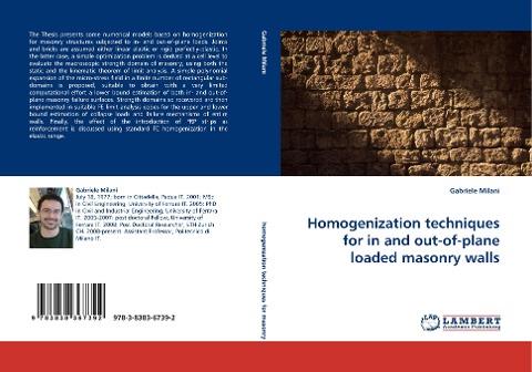 Homogenization techniques for in and out-of-plane loaded masonry walls