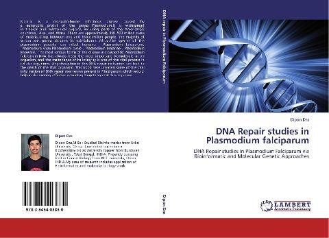 DNA Repair studies in Plasmodium falciparum