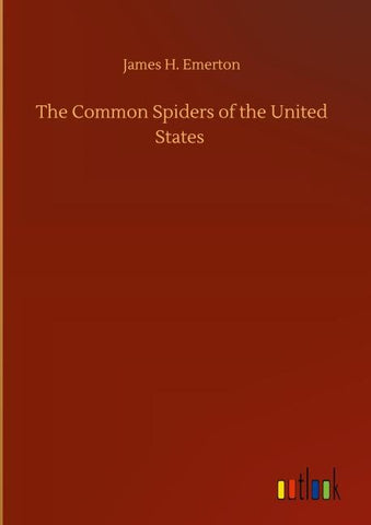 The Common Spiders of the United States