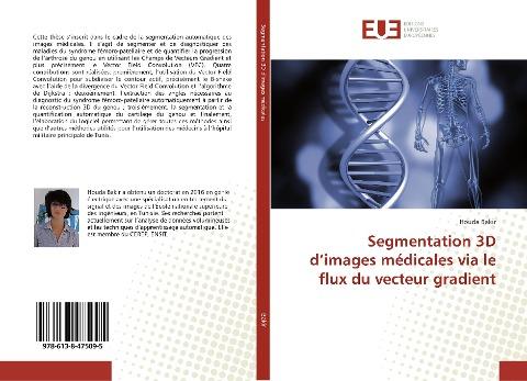 Segmentation 3D d'images médicales via le flux du vecteur gradient