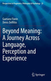 Beyond Meaning: A Journey Across Language, Perception and Experience