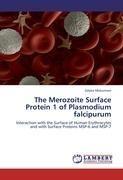 The Merozoite Surface Protein 1 of Plasmodium falcipurum