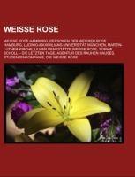 Weiße Rose