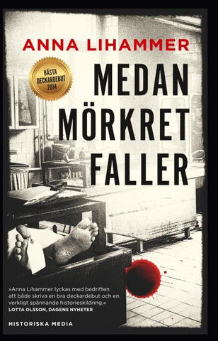Medan mörkret faller