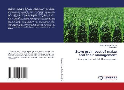 Store grain pest of maize and their management
