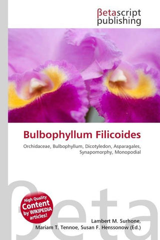 Bulbophyllum Filicoides