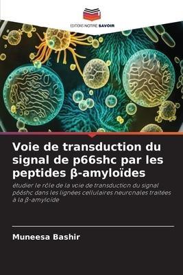 Voie de transduction du signal de p66shc par les peptides ¿-amyloïdes