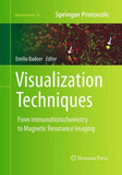 Visualization Techniques