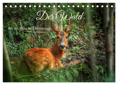 Der Wald - Ort der Ruhe und Besinnung (Tischkalender 2026 DIN A5 quer), CALVENDO Monatskalender