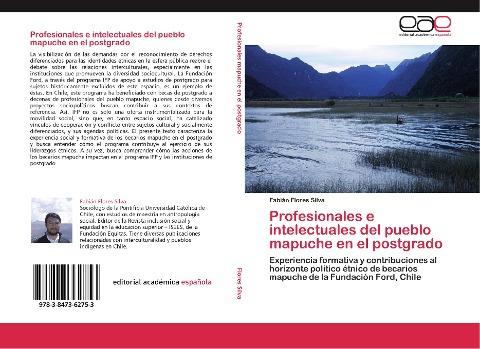 Profesionales e intelectuales del pueblo mapuche en el postgrado