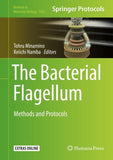 The Bacterial Flagellum
