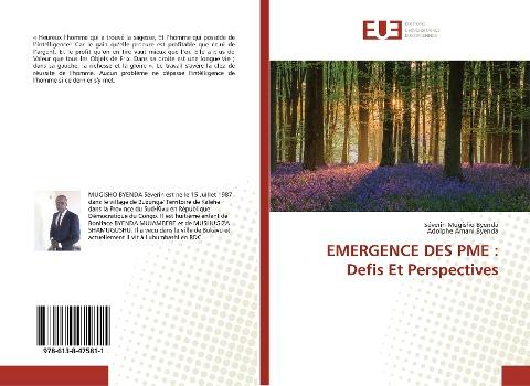 EMERGENCE DES PME : Defis Et Perspectives