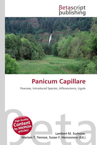 Panicum Capillare