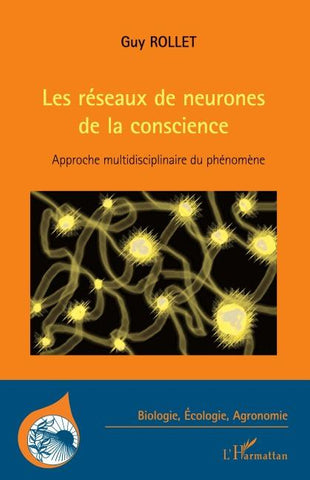 Les réseaux de neurones de la conscience