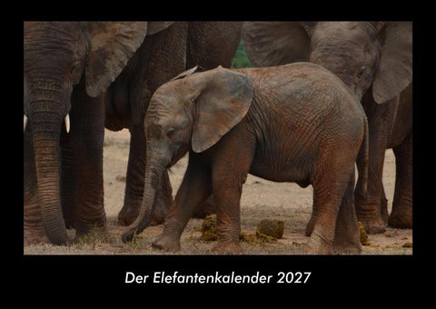 Der Elefantenkalender 2027 Fotokalender DIN A3