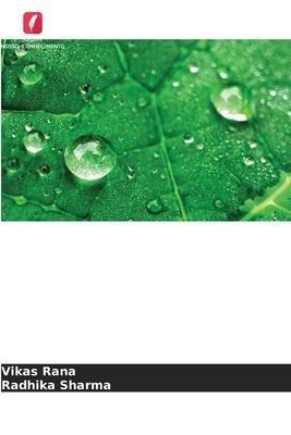 Hidrocarbonetos polissacáridos modificados: Caracterização e Aplicações