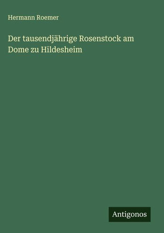 Der tausendjährige Rosenstock am Dome zu Hildesheim