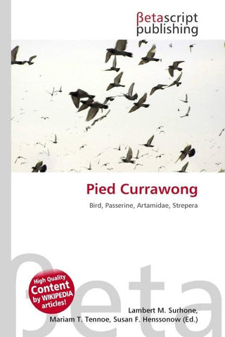 Pied Currawong