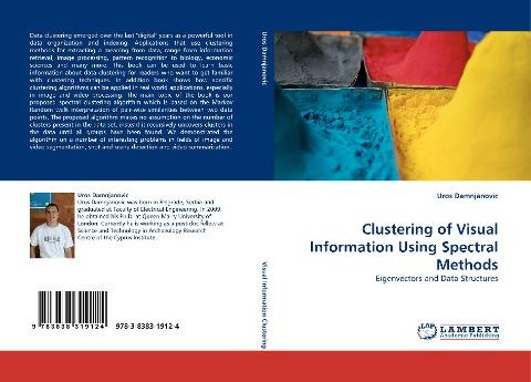 Clustering of Visual Information Using Spectral Methods