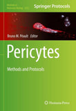 Pericytes