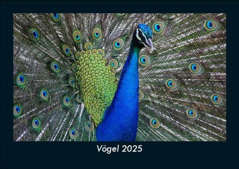 Vögel 2025 Fotokalender DIN A5
