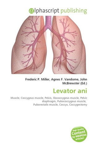 Levator ani