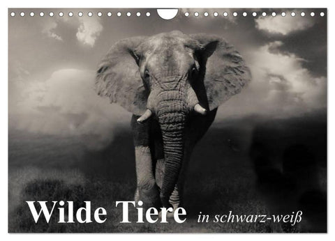 Wilde Tiere in schwarz-weiß (Wandkalender 2026 DIN A4 quer), CALVENDO Monatskalender