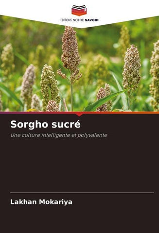 Sorgho sucré