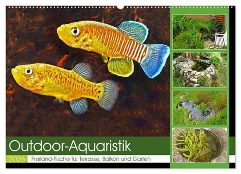 Outdoor-Aquaristik (Wandkalender 2026 DIN A2 quer), CALVENDO Monatskalender