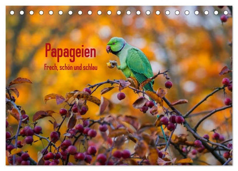 Papageien - Frech, schön und schlau (Tischkalender 2026 DIN A5 quer), CALVENDO Monatskalender