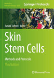 Skin Stem Cells