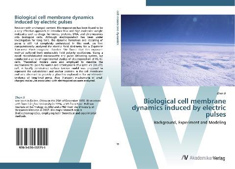 Biological cell membrane dynamics induced by electric pulses
