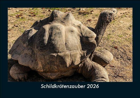 Schildkrötenzauber 2026 Fotokalender DIN A5