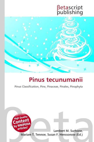 Pinus tecunumanii
