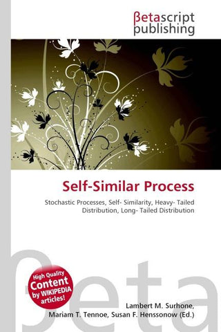 Self-Similar Process