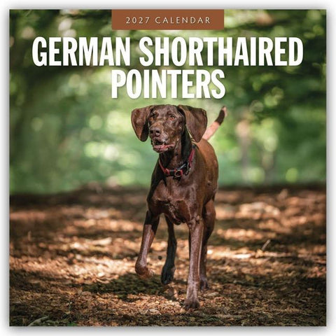 German Shorthaired Pointers – Deutscher Kurzhaar – Deutscher Kurzhaariger Vorstehhund 2027 – 16-Monatskalender