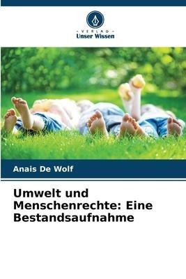 Umwelt und Menschenrechte: Eine Bestandsaufnahme