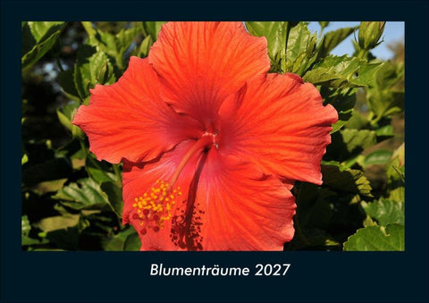 Blumenträume 2027 Fotokalender DIN A4