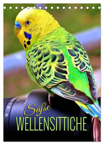 Süße Wellensittiche (Tischkalender 2026 DIN A5 hoch), CALVENDO Monatskalender