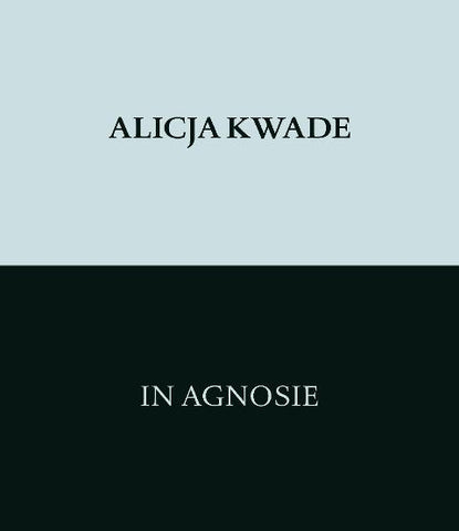 Alicja Kwade. In Agnosie
