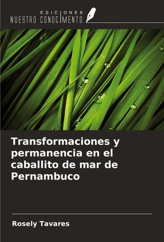 Transformaciones y permanencia en el caballito de mar de Pernambuco