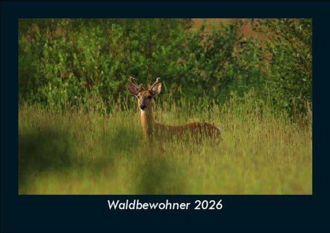 Waldbewohner 2026 Fotokalender DIN A5