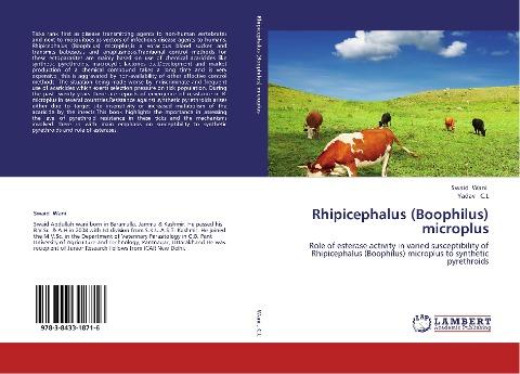Rhipicephalus (Boophilus) microplus